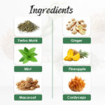Yerba Mate Ginger Mint Pineapple macaroot Cordyceps