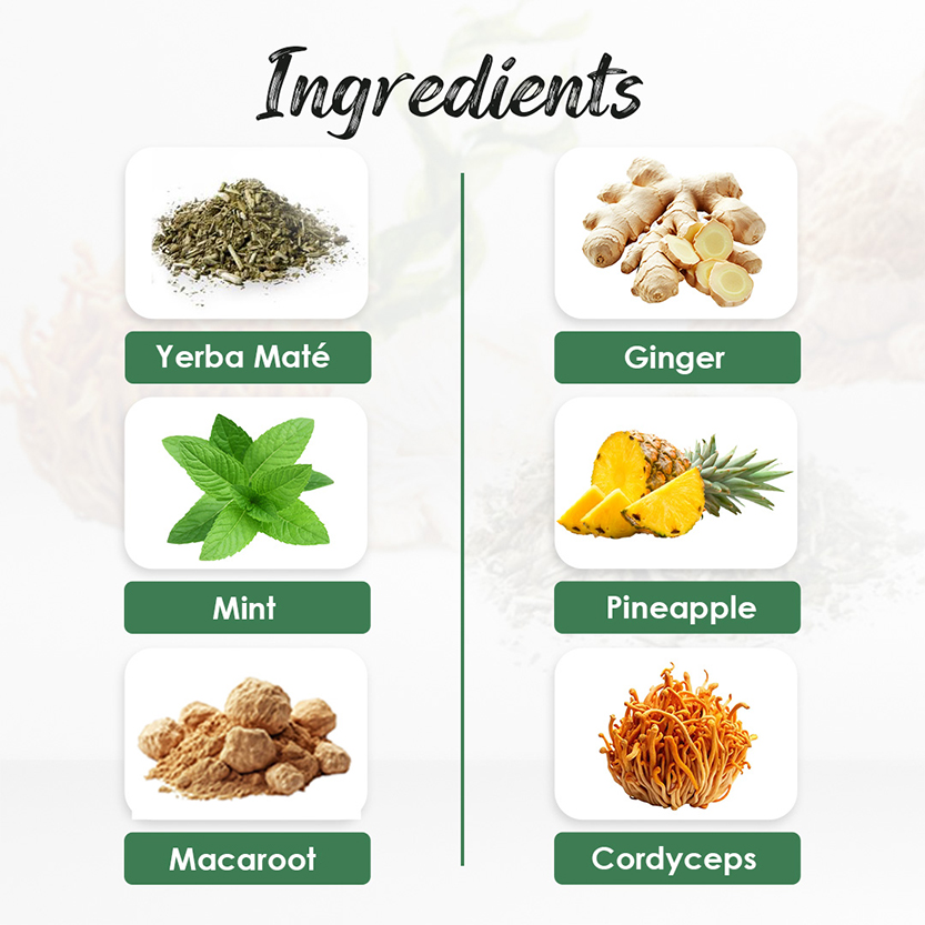 Yerba Mate Ginger Mint Pineapple macaroot Cordyceps
