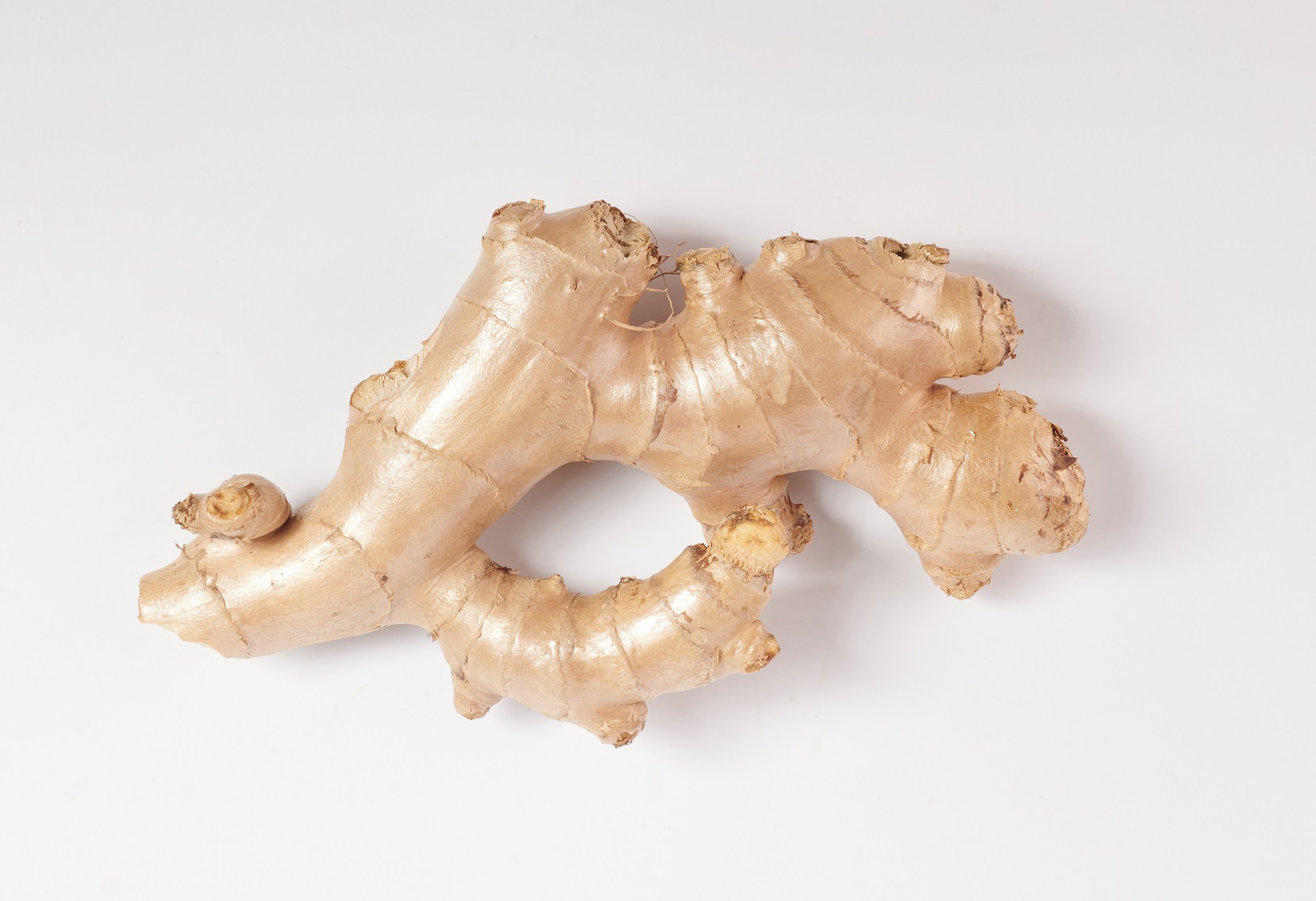 Ginger Lebanon, Anti-Inflammatory, Antioxidant Effects
