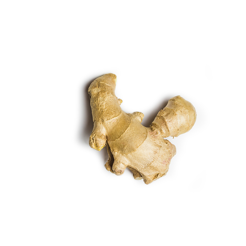 ginger