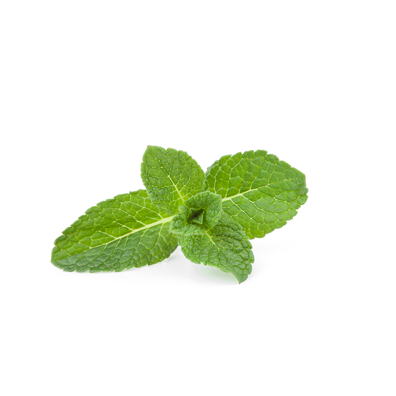 mint