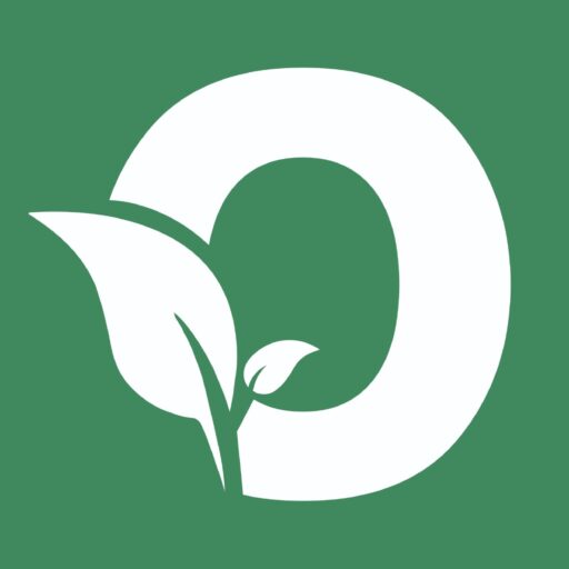 Orgaina