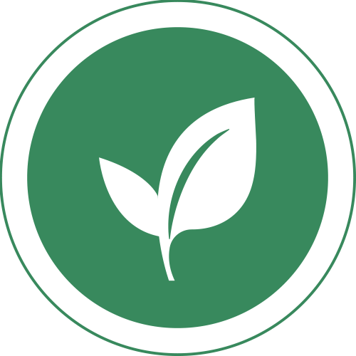 Orgaina